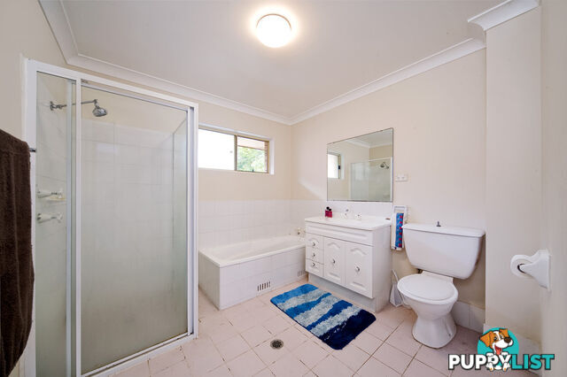 3A/14 Cecil Street ASHFIELD NSW 2131