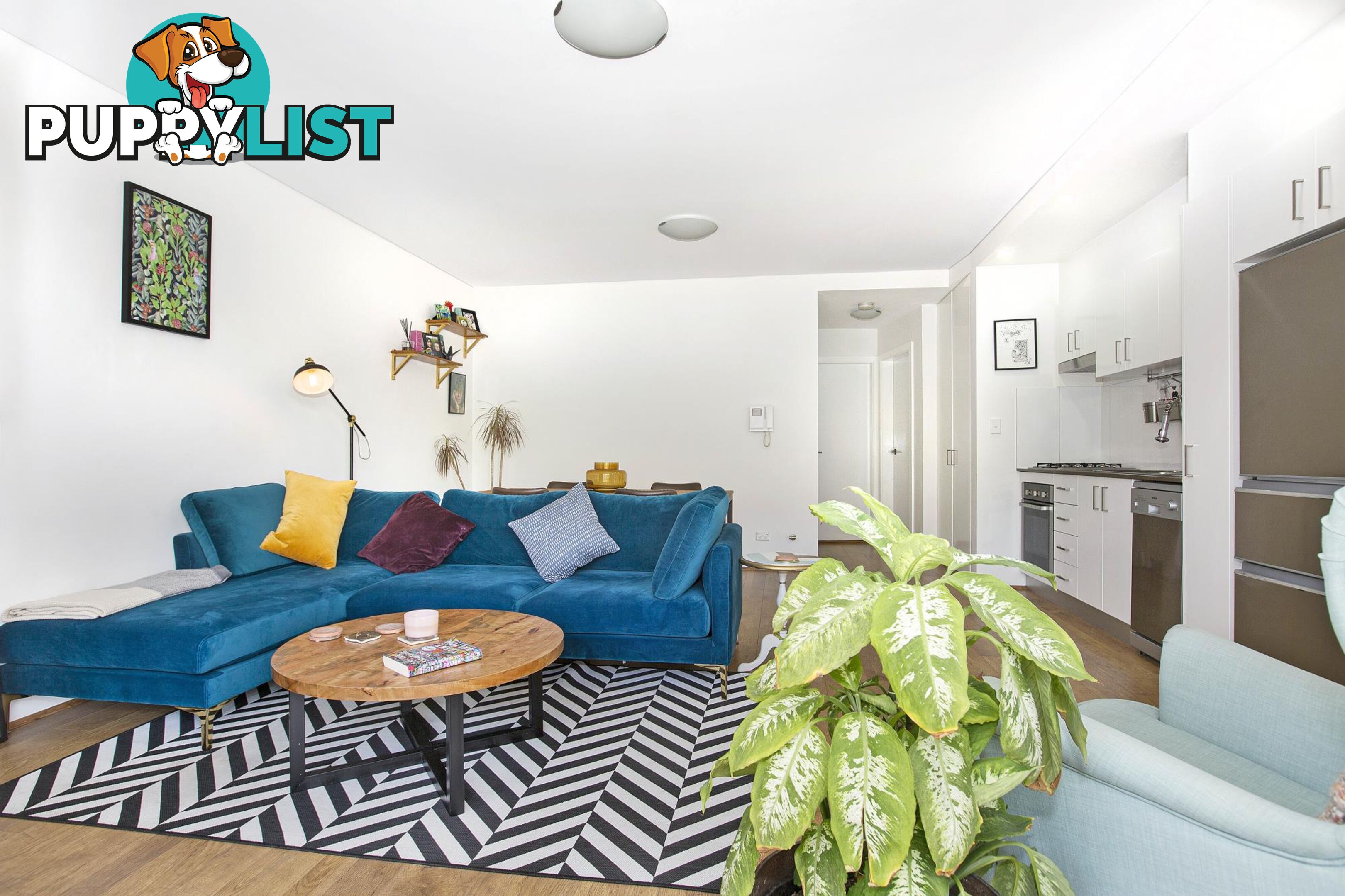 2/395 Marrickville Road MARRICKVILLE NSW 2204