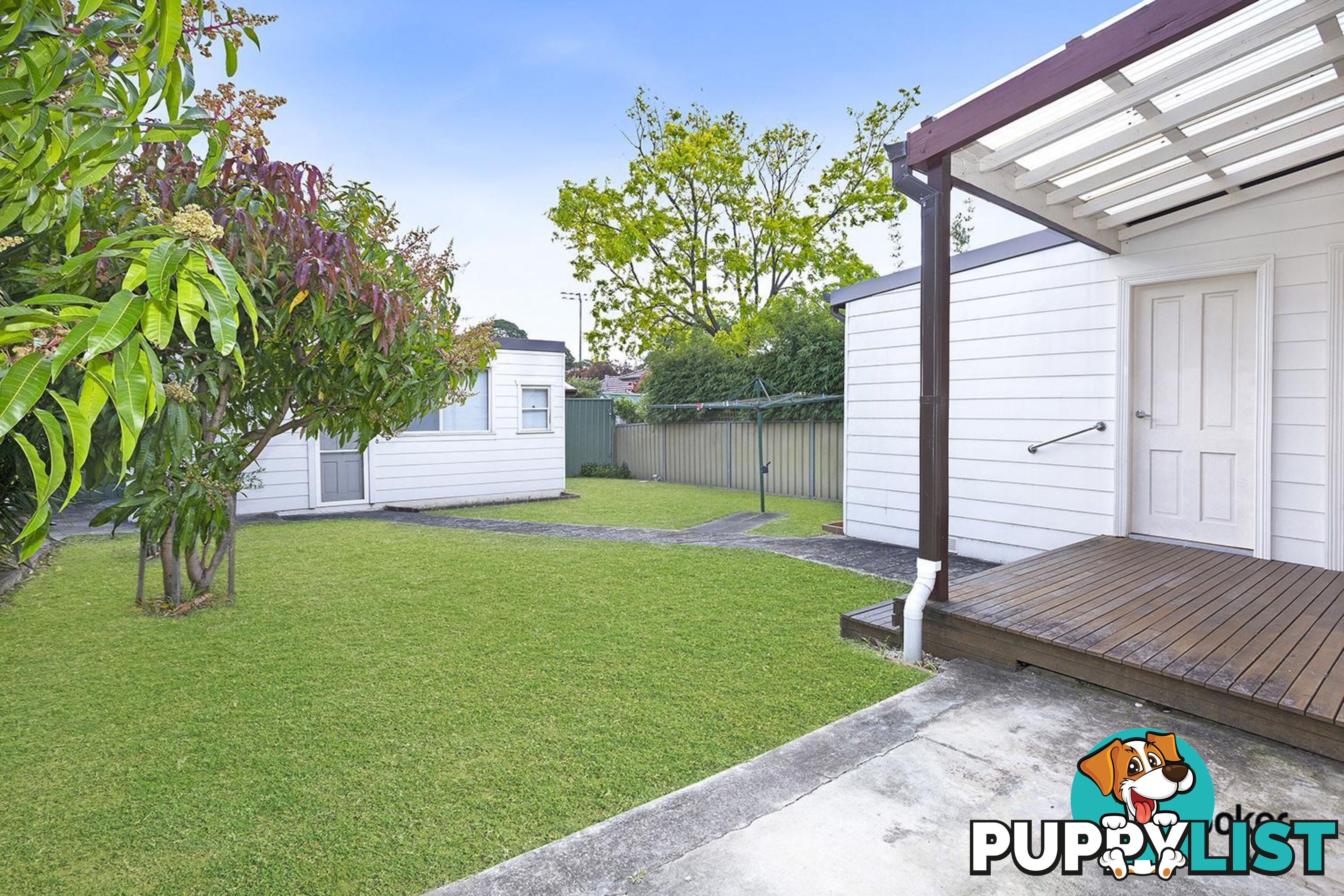 79 Holden Street ASHFIELD NSW 2131