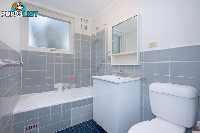 14/36 Bland Street ASHFIELD NSW 2131