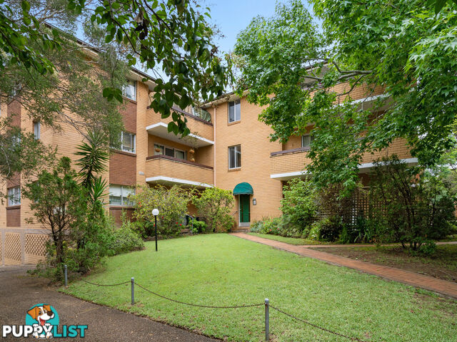 1/15 Cecil Street ASHFIELD NSW 2131