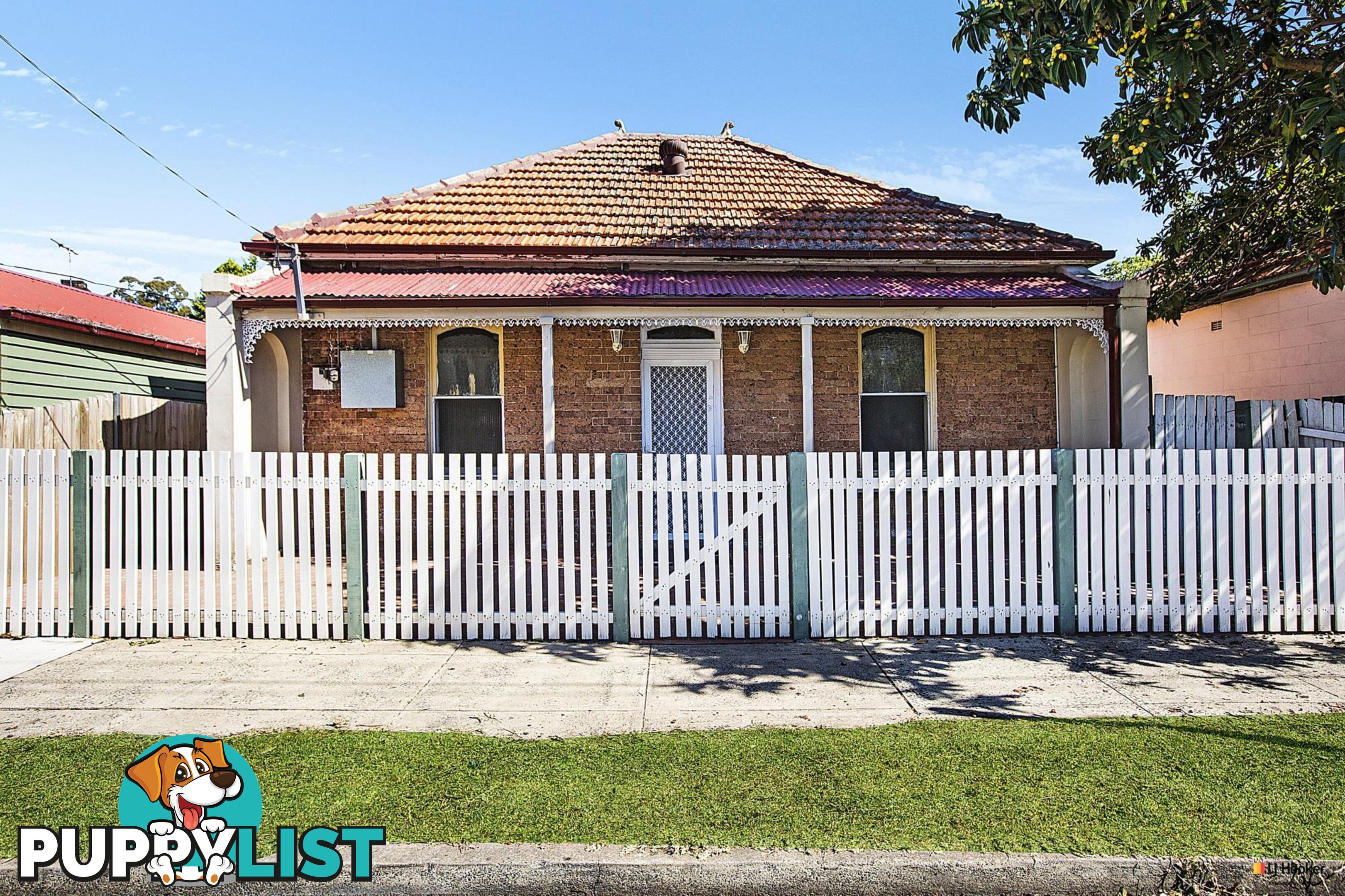 10 John Street ASHFIELD NSW 2131