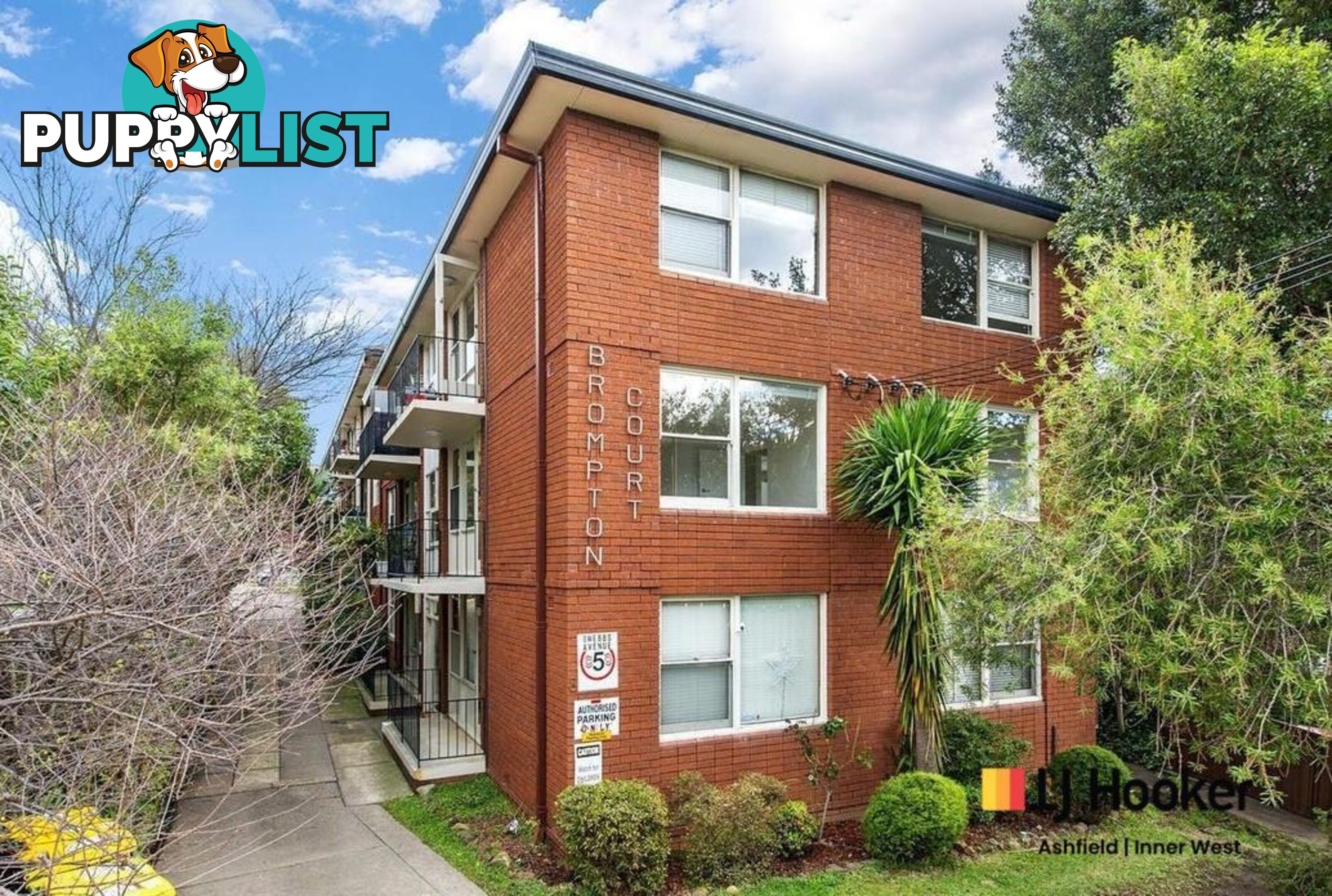 9/8 Webbs Ave ASHFIELD NSW 2131