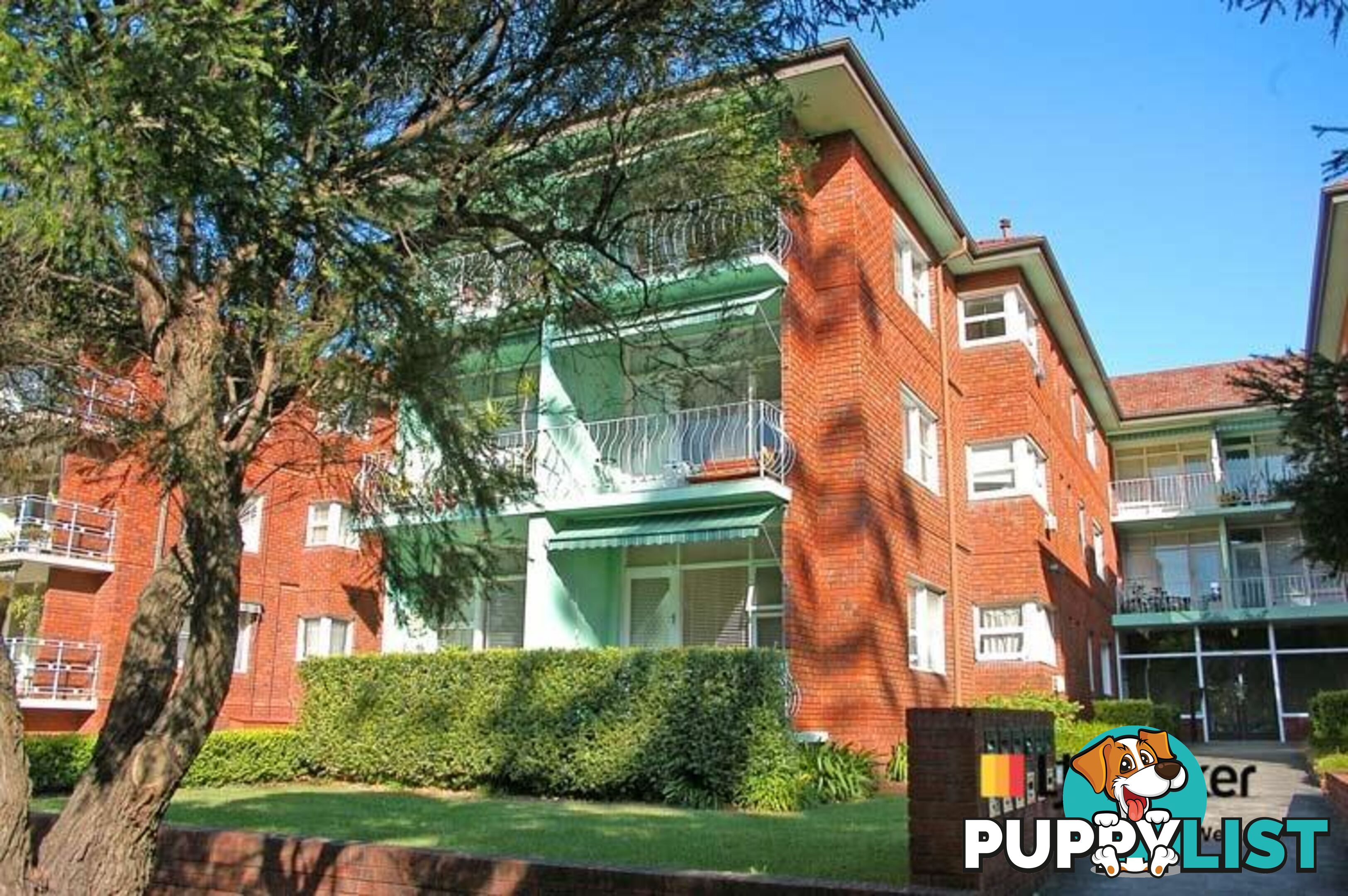 3/23 Ormond St ASHFIELD NSW 2131