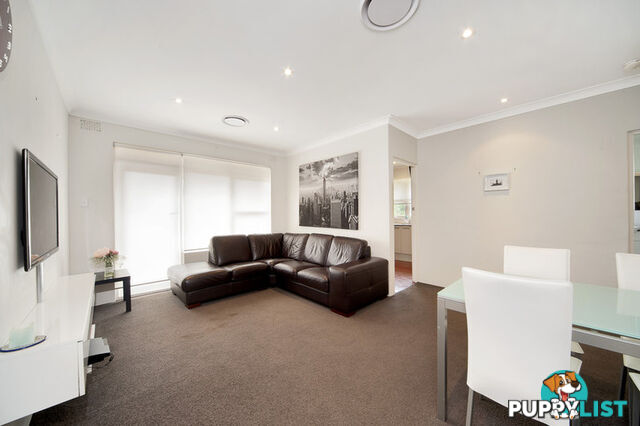 3/124 Frederick Street ASHFIELD NSW 2131