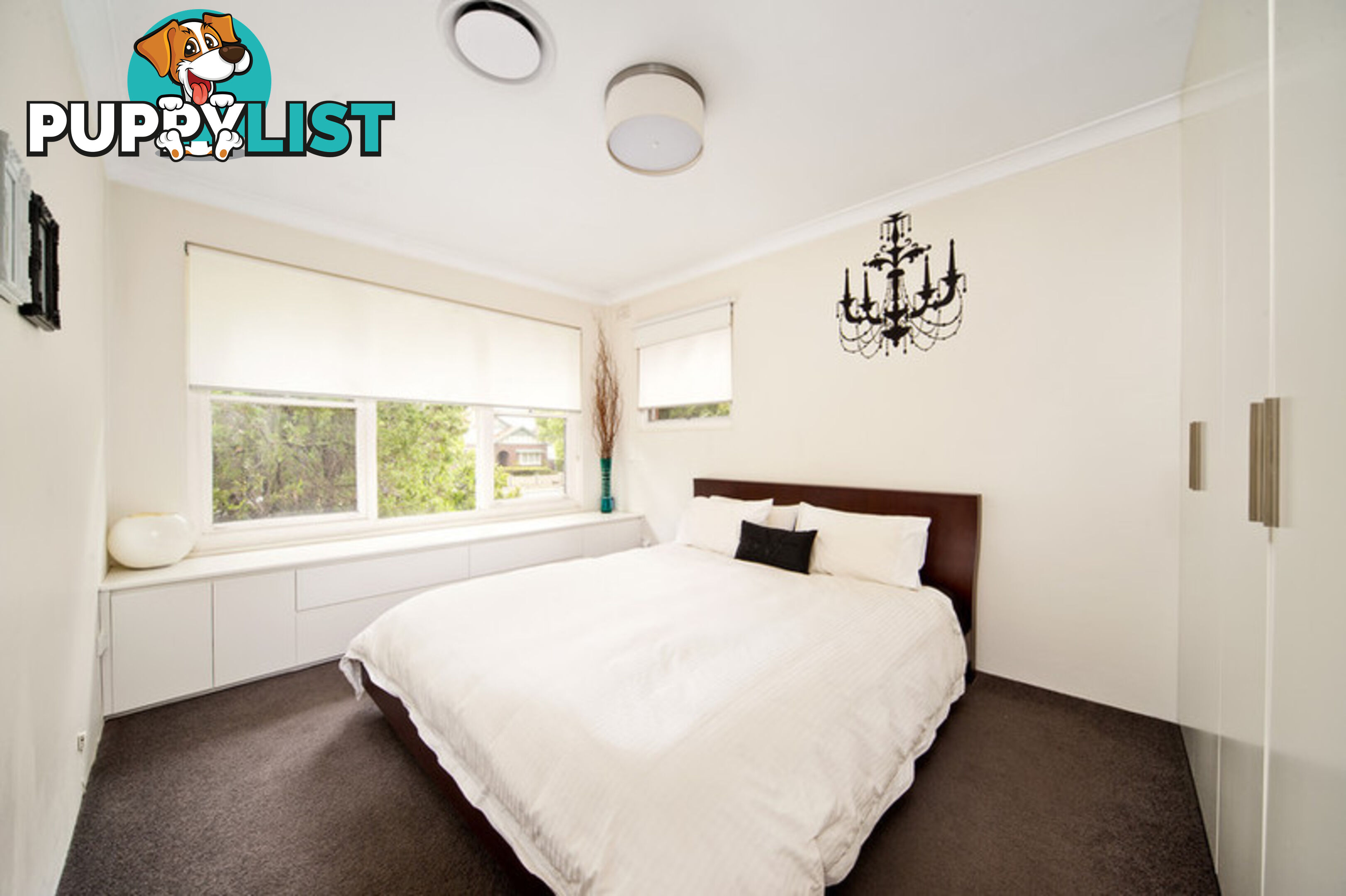 3/124 Frederick Street ASHFIELD NSW 2131