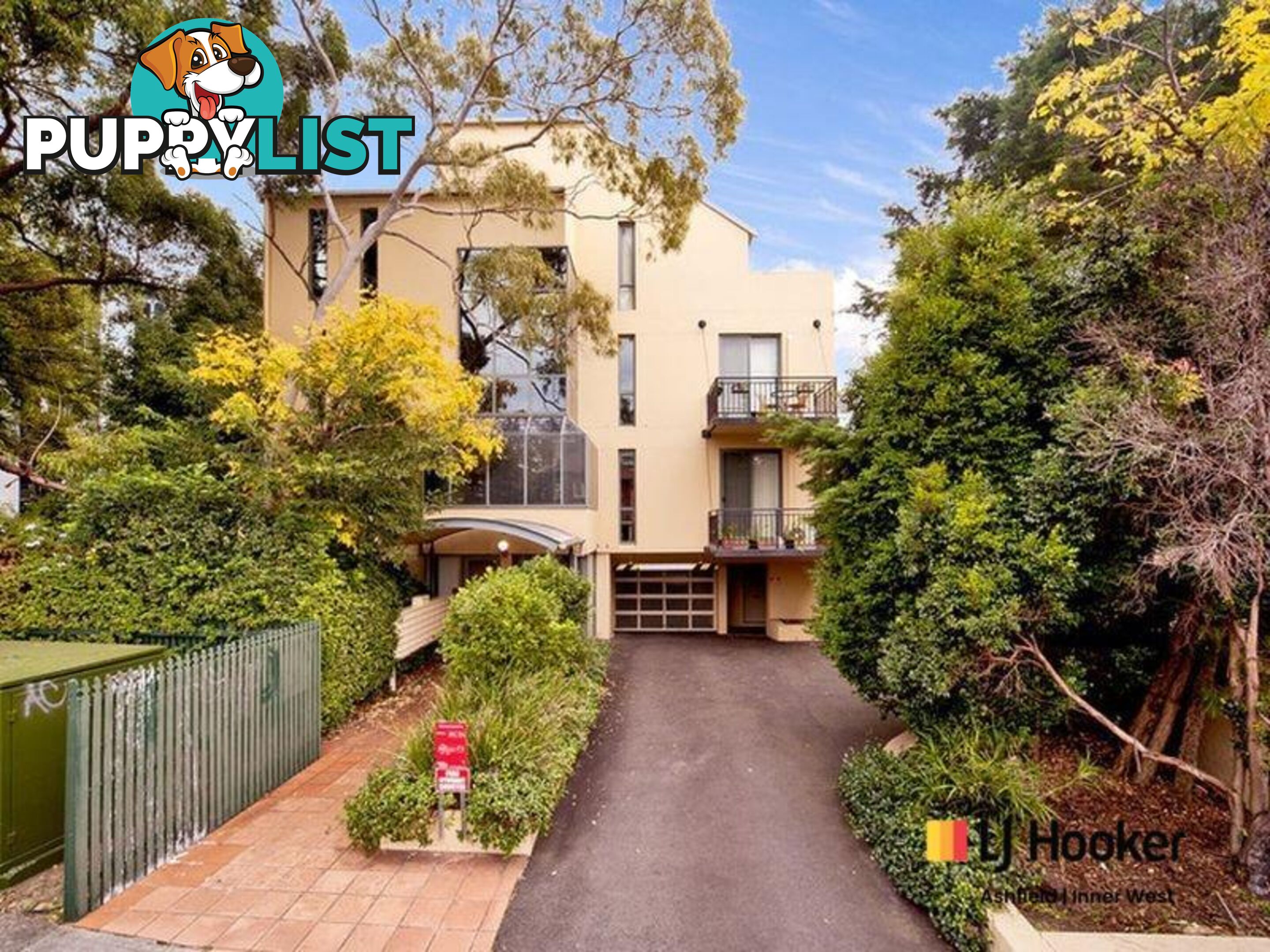 11/8 Cavill Avenue ASHFIELD NSW 2131