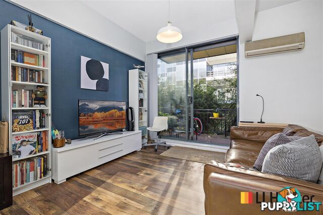 11/8 Cavill Avenue ASHFIELD NSW 2131