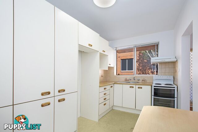 4/13 Loftus Street ASHFIELD NSW 2131