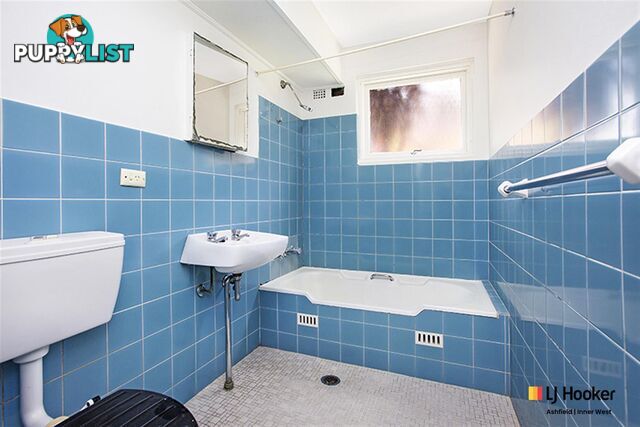 3/53 Frederick Street ASHFIELD NSW 2131