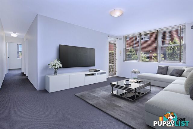 3/53 Frederick Street ASHFIELD NSW 2131