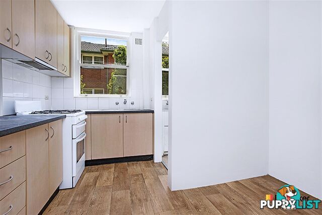 3/53 Frederick Street ASHFIELD NSW 2131