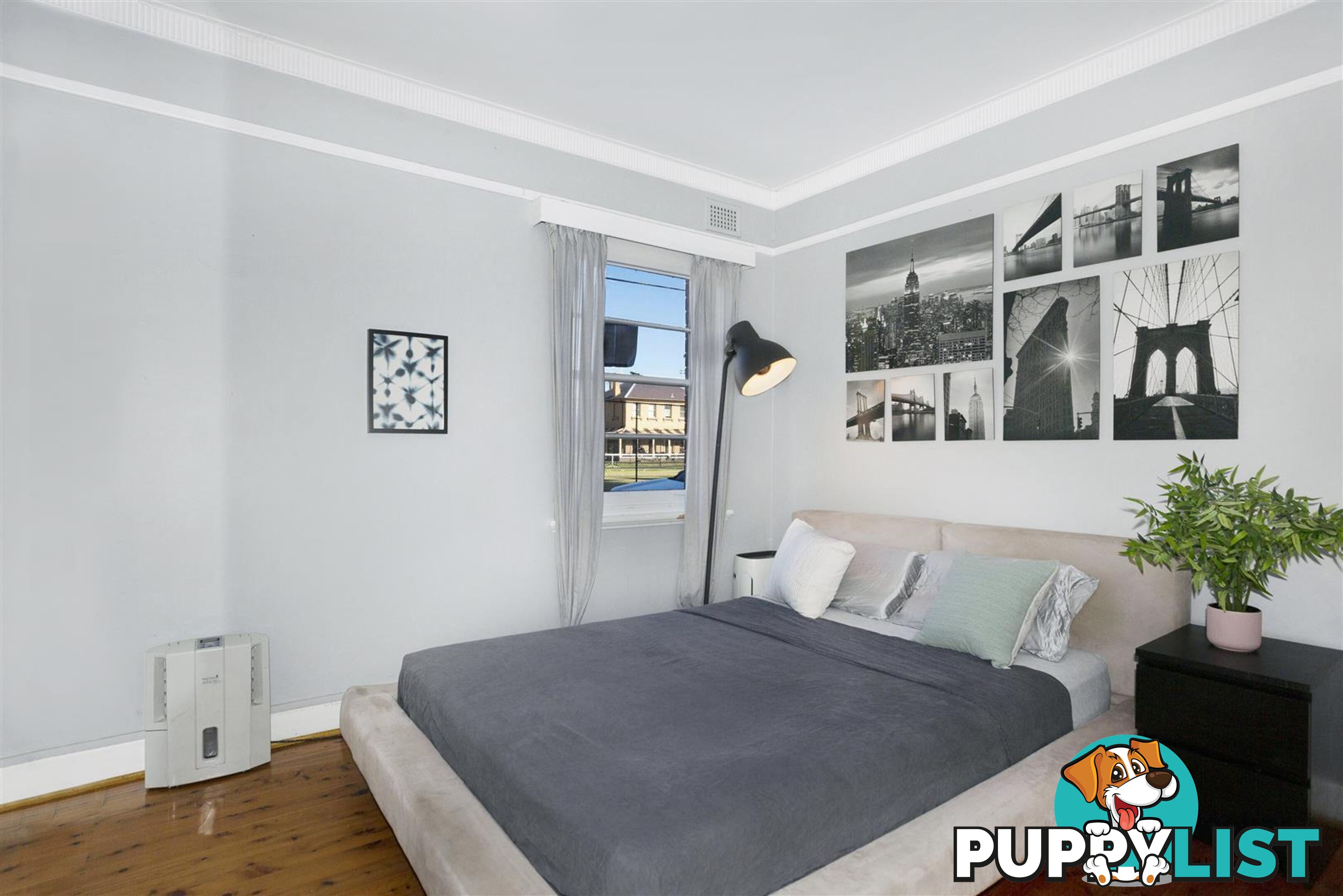 1/19 Rose Street ASHFIELD NSW 2131