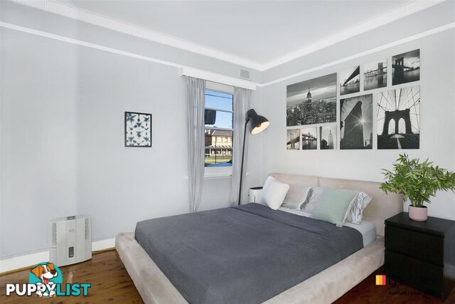 1/19 Rose Street ASHFIELD NSW 2131