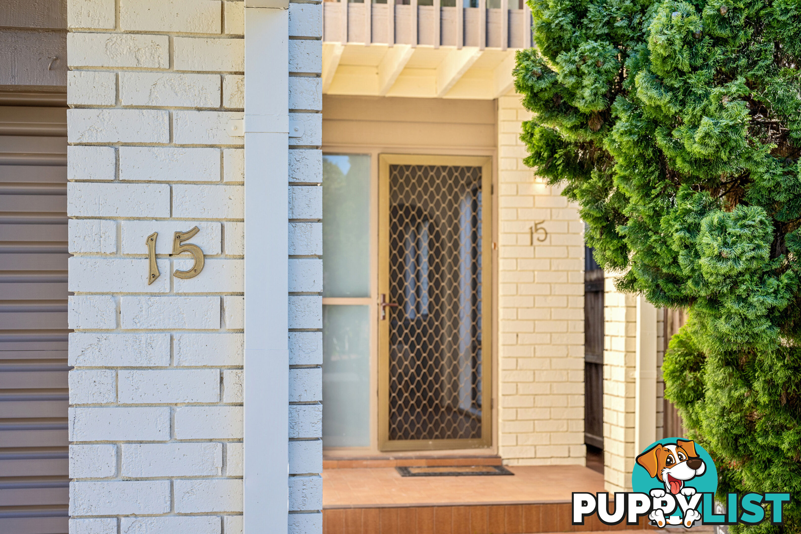 15 Hampton Street CROYDON PARK NSW 2133