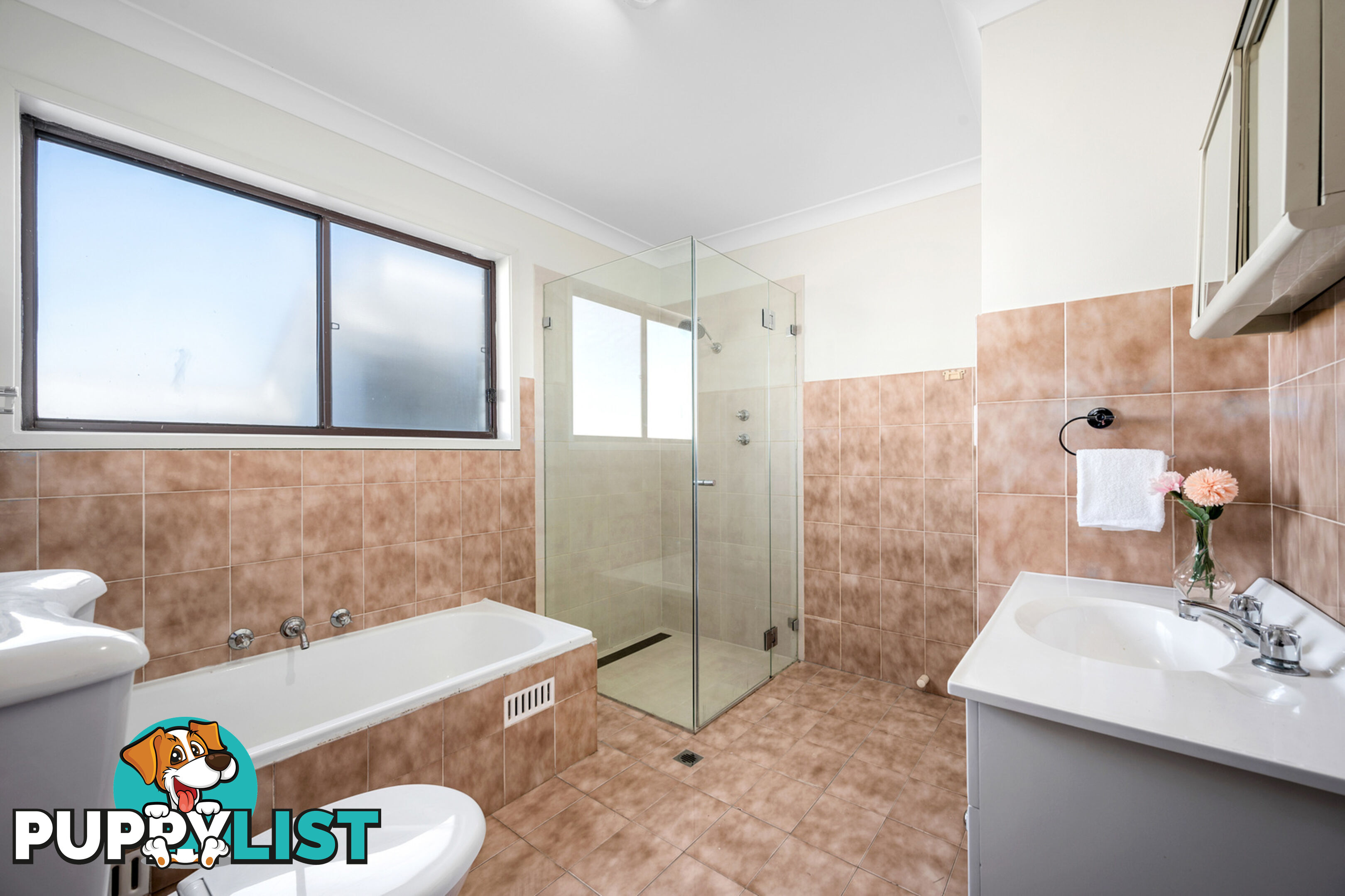 15 Hampton Street CROYDON PARK NSW 2133