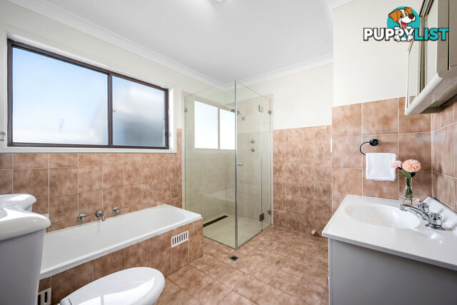 15 Hampton Street CROYDON PARK NSW 2133