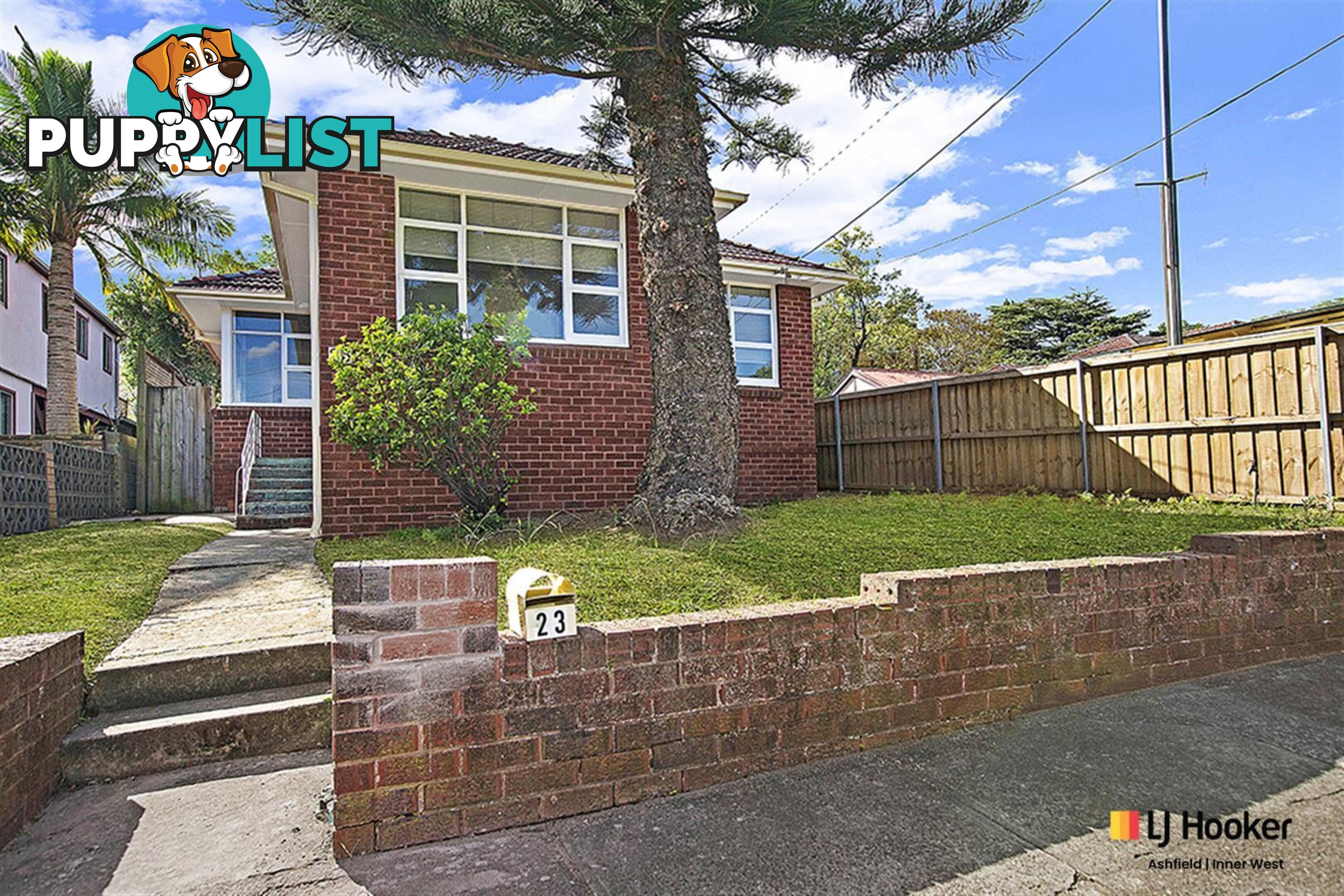 23 Arthur Street ASHFIELD NSW 2131