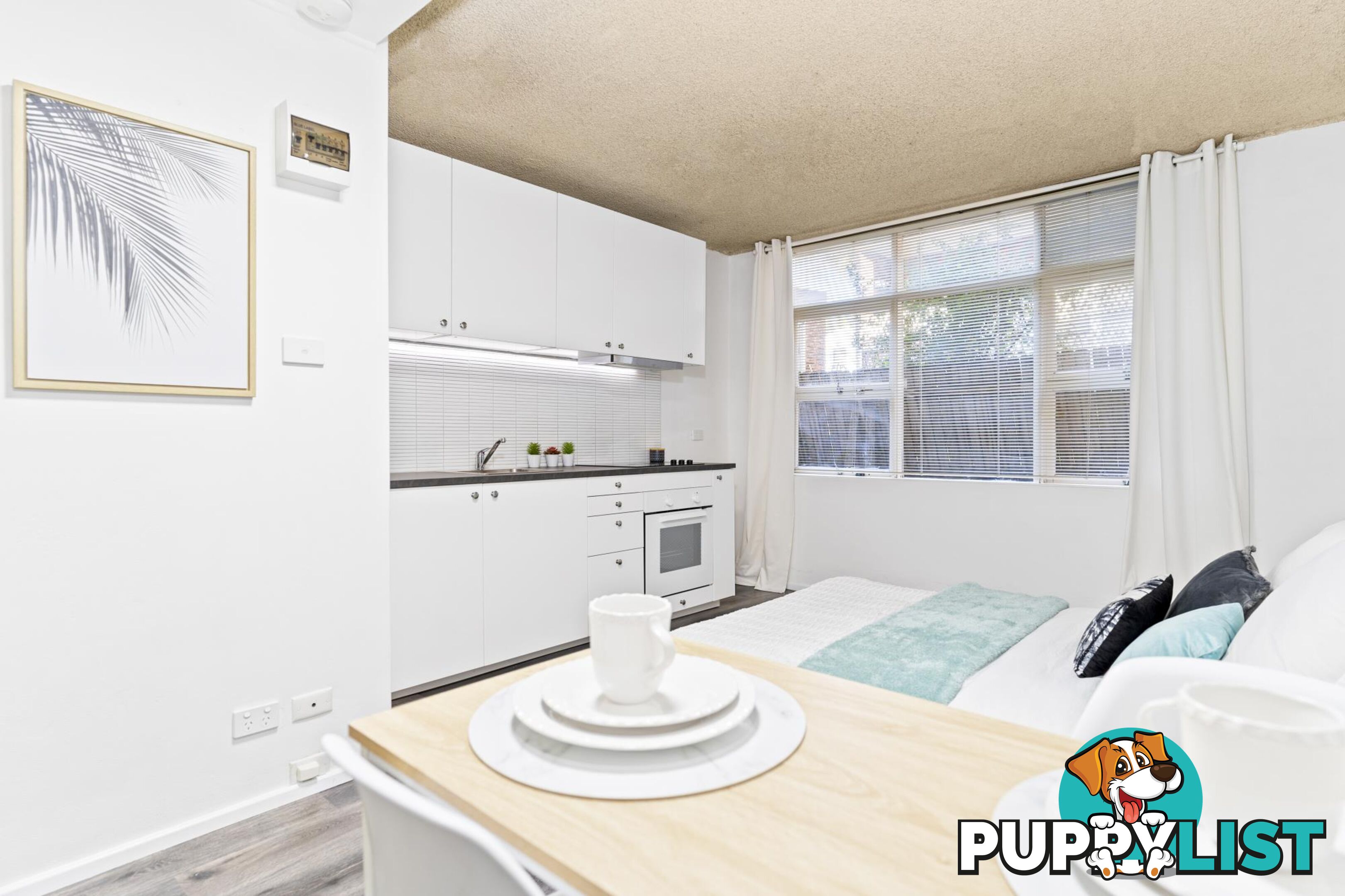 8/11 Church Street ASHFIELD NSW 2131