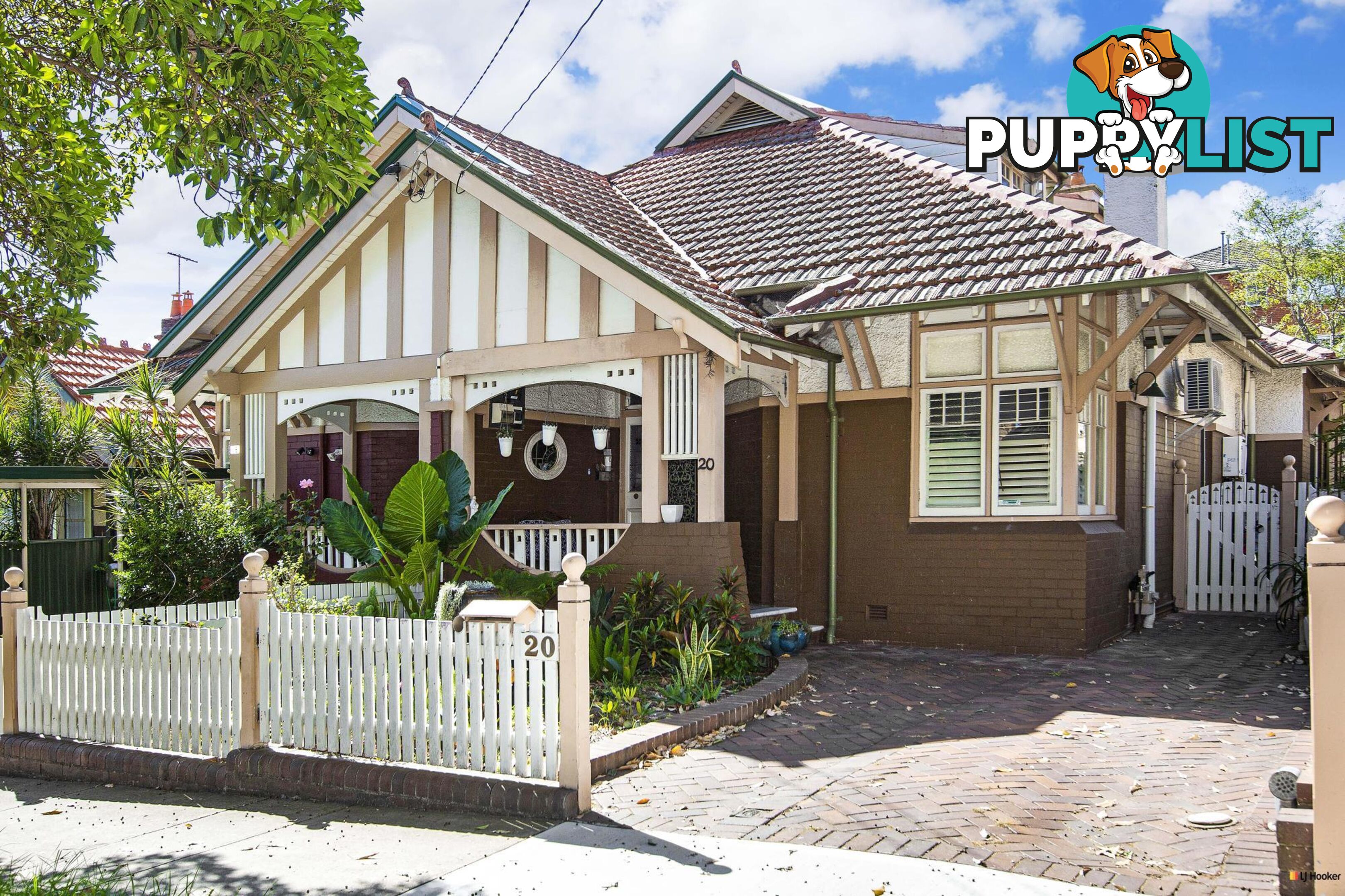 20 Federal Avenue ASHFIELD NSW 2131