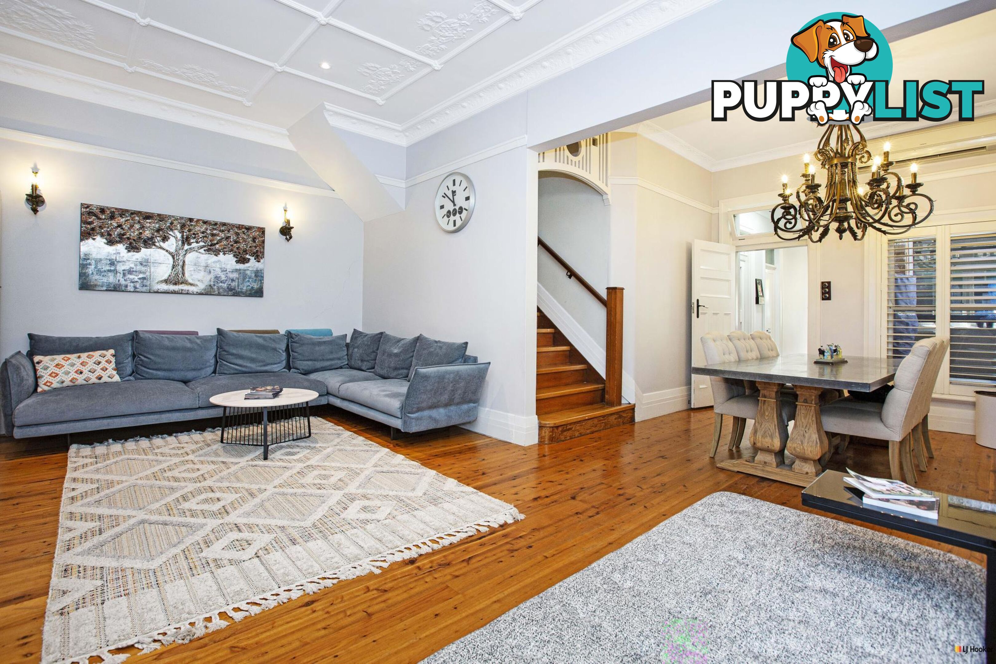 20 Federal Avenue ASHFIELD NSW 2131