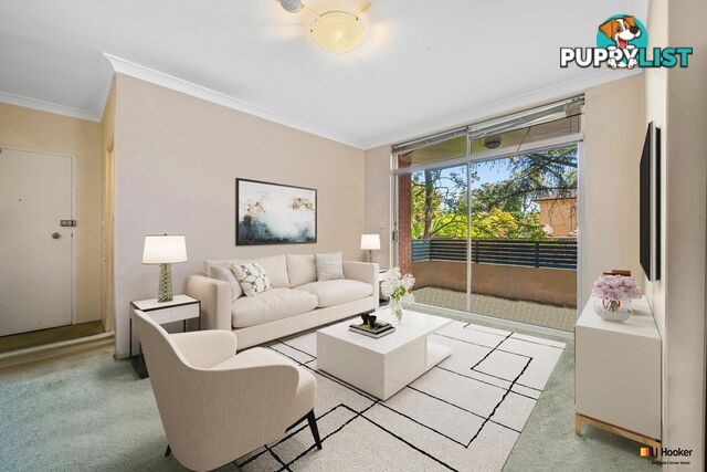 4 A'Beckett Avenue ASHFIELD NSW 2131