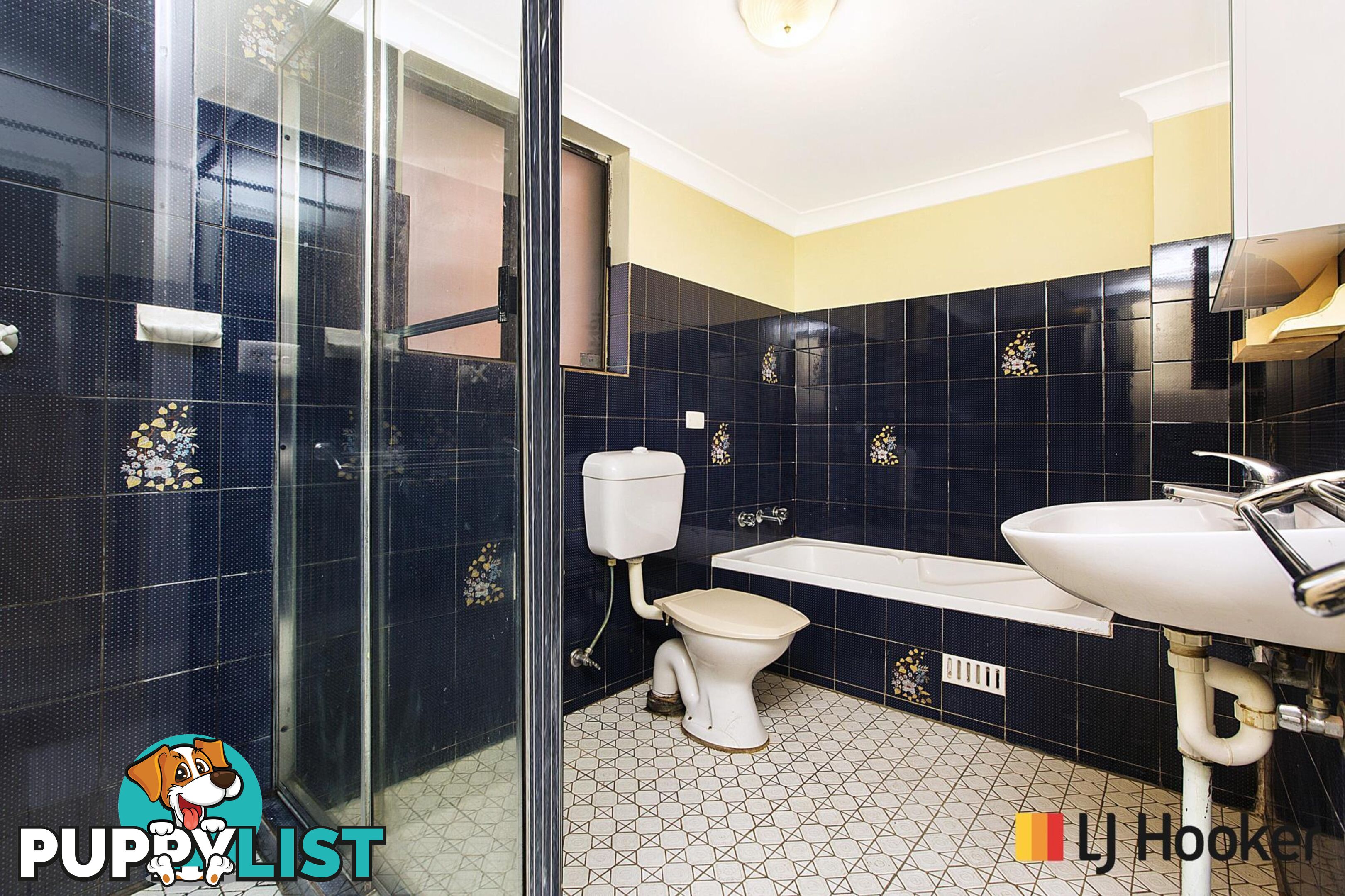 3/16 Hill Street CAMPSIE NSW 2194