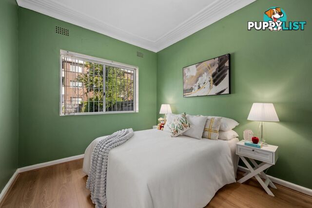7 Somerville Avenue ASHFIELD NSW 2131