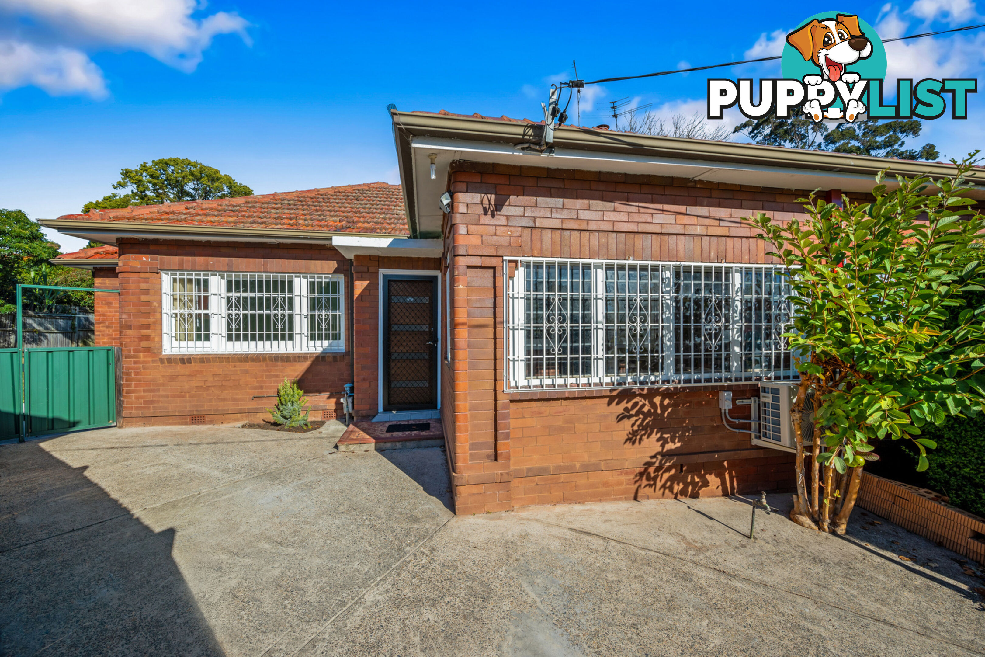 7 Somerville Avenue ASHFIELD NSW 2131