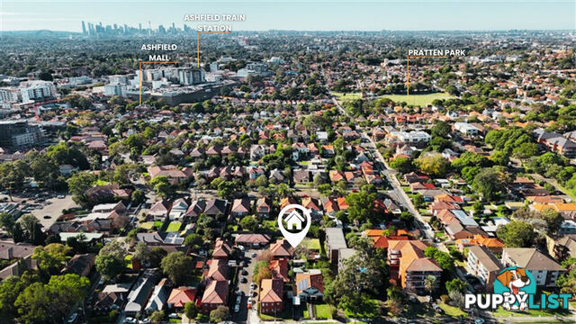 7 Somerville Avenue ASHFIELD NSW 2131