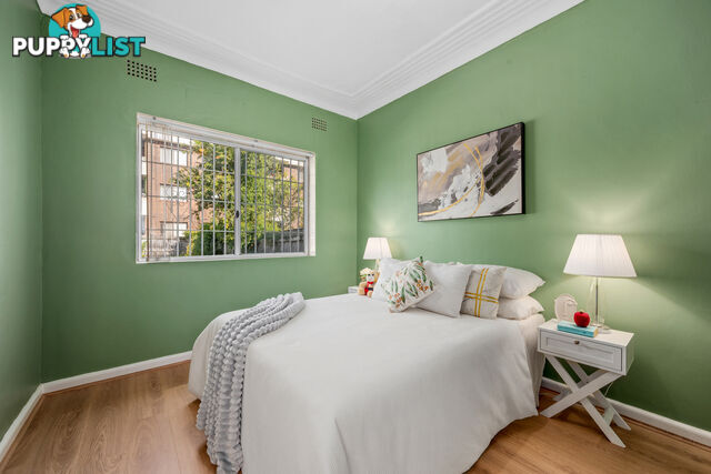 7 Somerville Avenue ASHFIELD NSW 2131