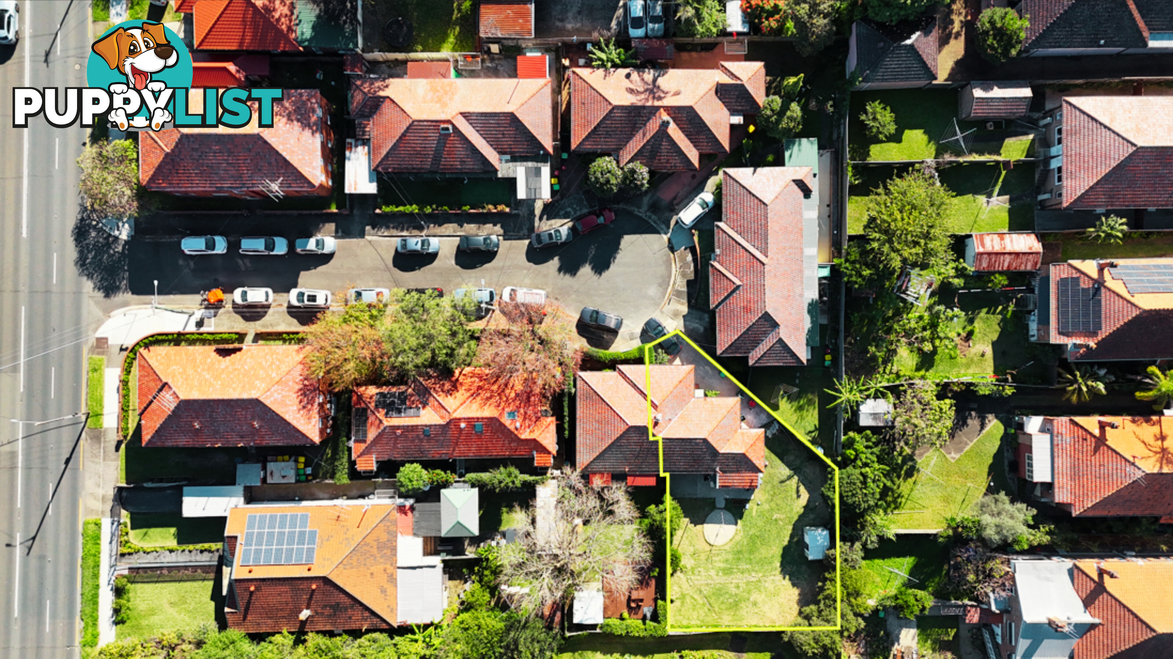 7 Somerville Avenue ASHFIELD NSW 2131