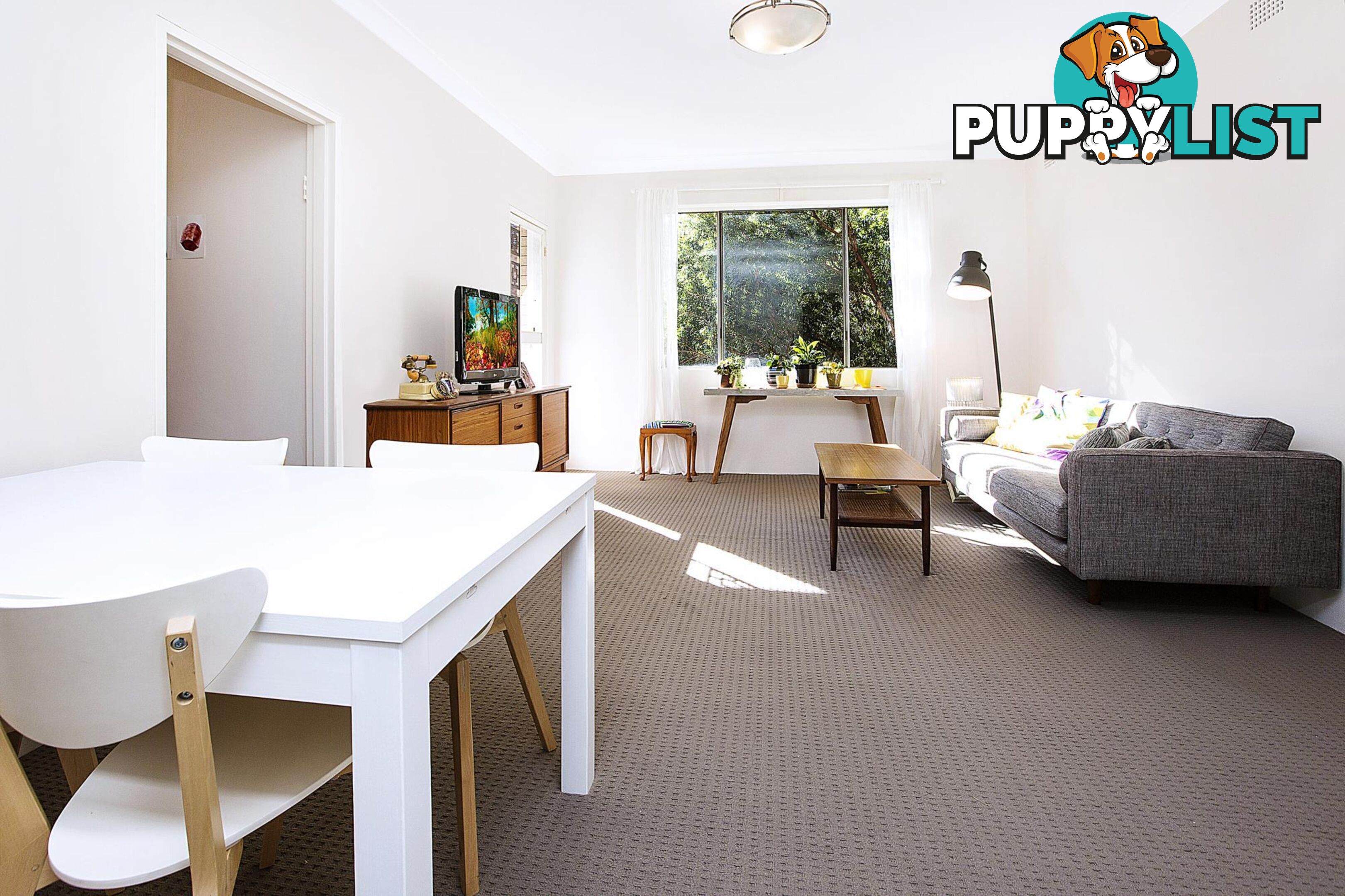 10/11 Jeffrey Street CANTERBURY NSW 2193