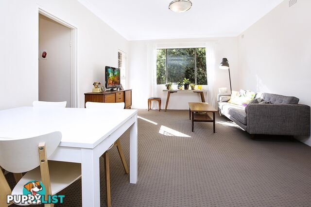 10/11 Jeffrey Street CANTERBURY NSW 2193