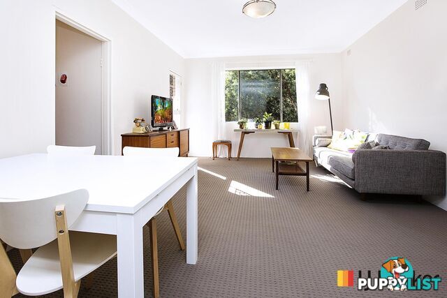 10/11 Jeffrey Street CANTERBURY NSW 2193