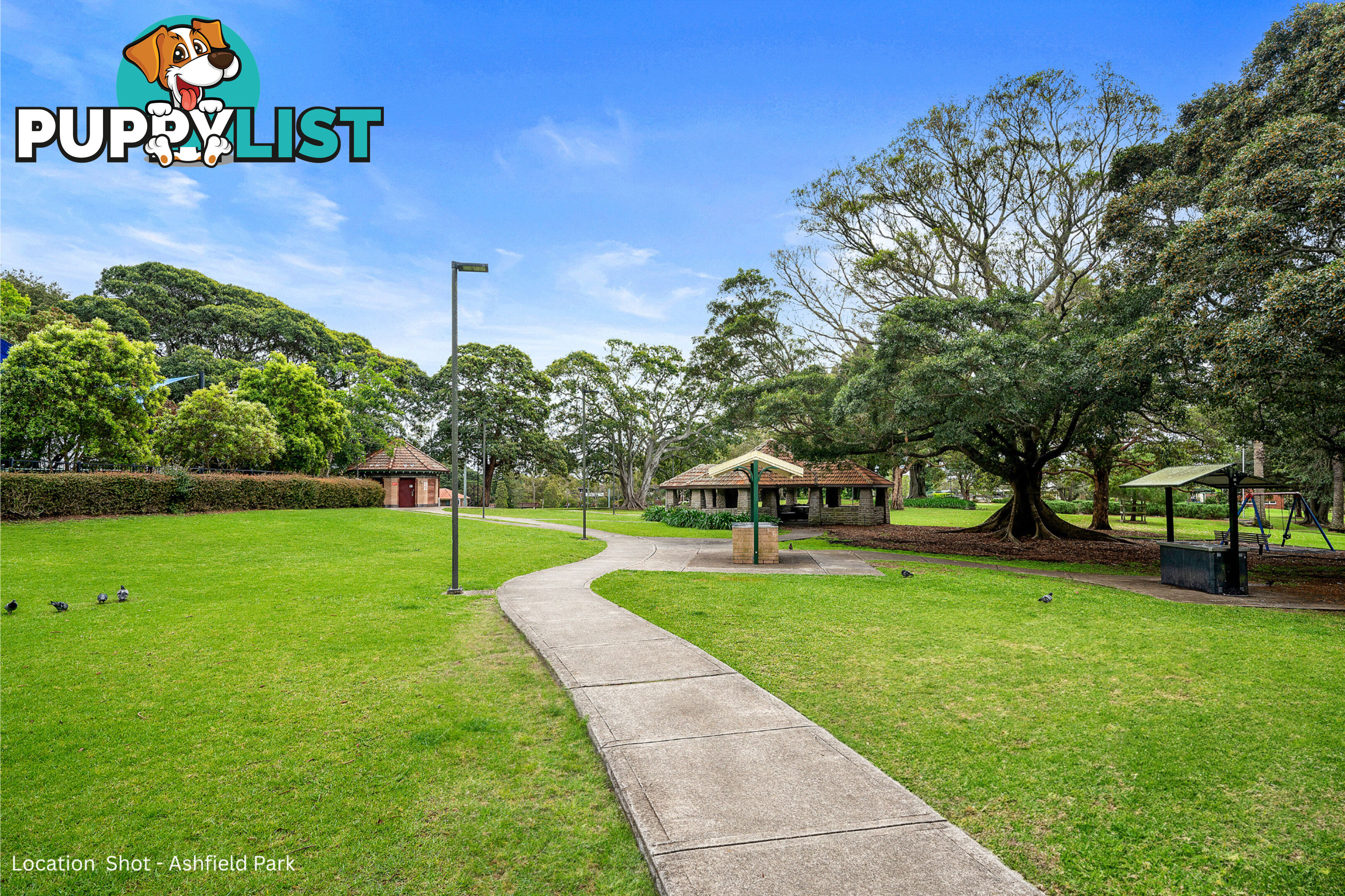 7/45 Chandos Street ASHFIELD NSW 2131