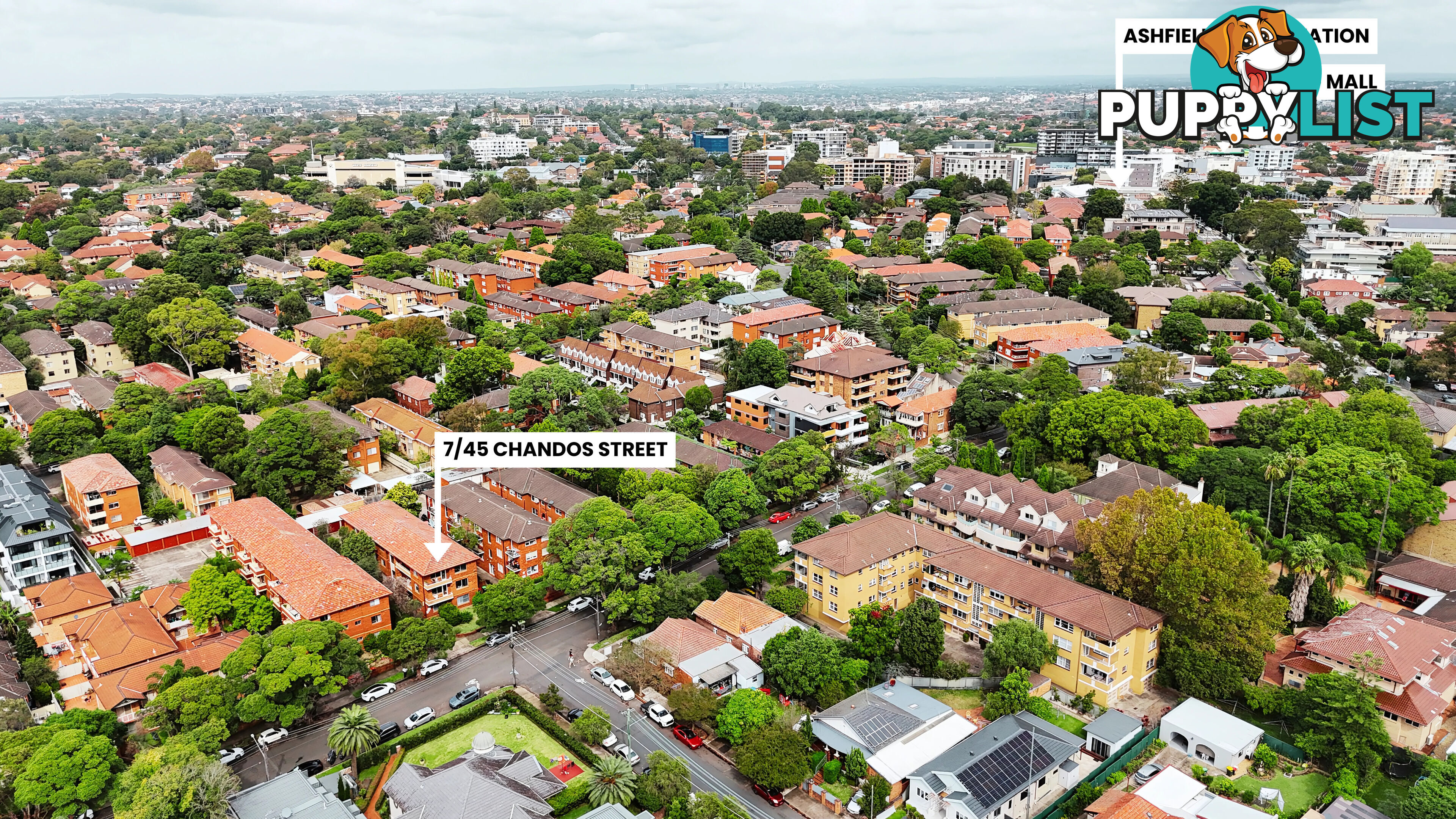 7/45 Chandos Street ASHFIELD NSW 2131