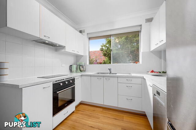 7/45 Chandos Street ASHFIELD NSW 2131