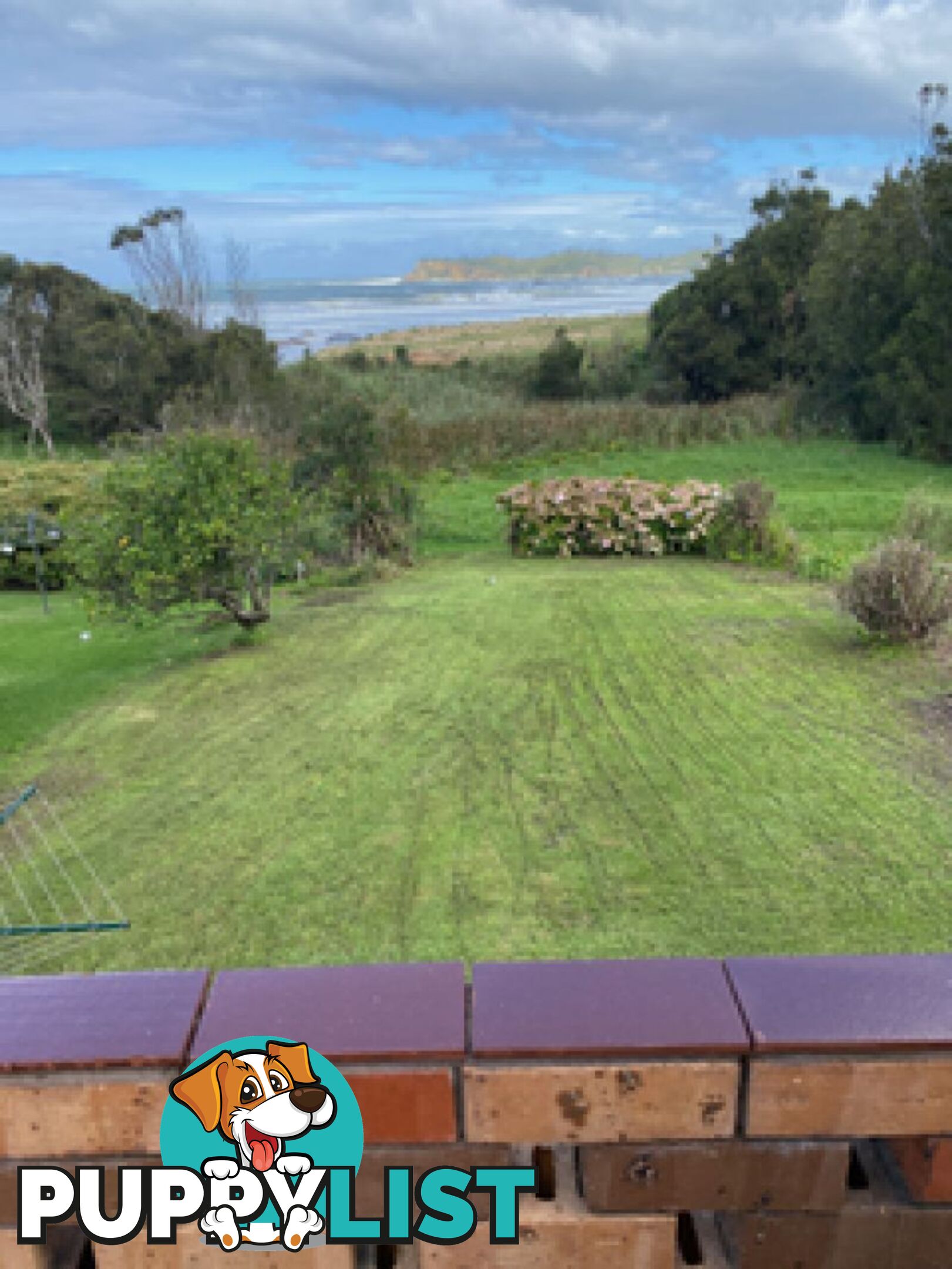 27 Tallawang Ave Malua Bay NSW 2536