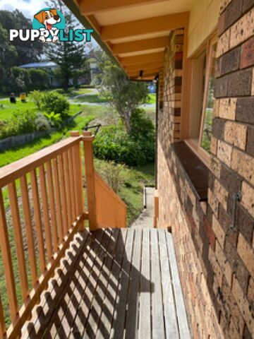 27 Tallawang Ave Malua Bay NSW 2536