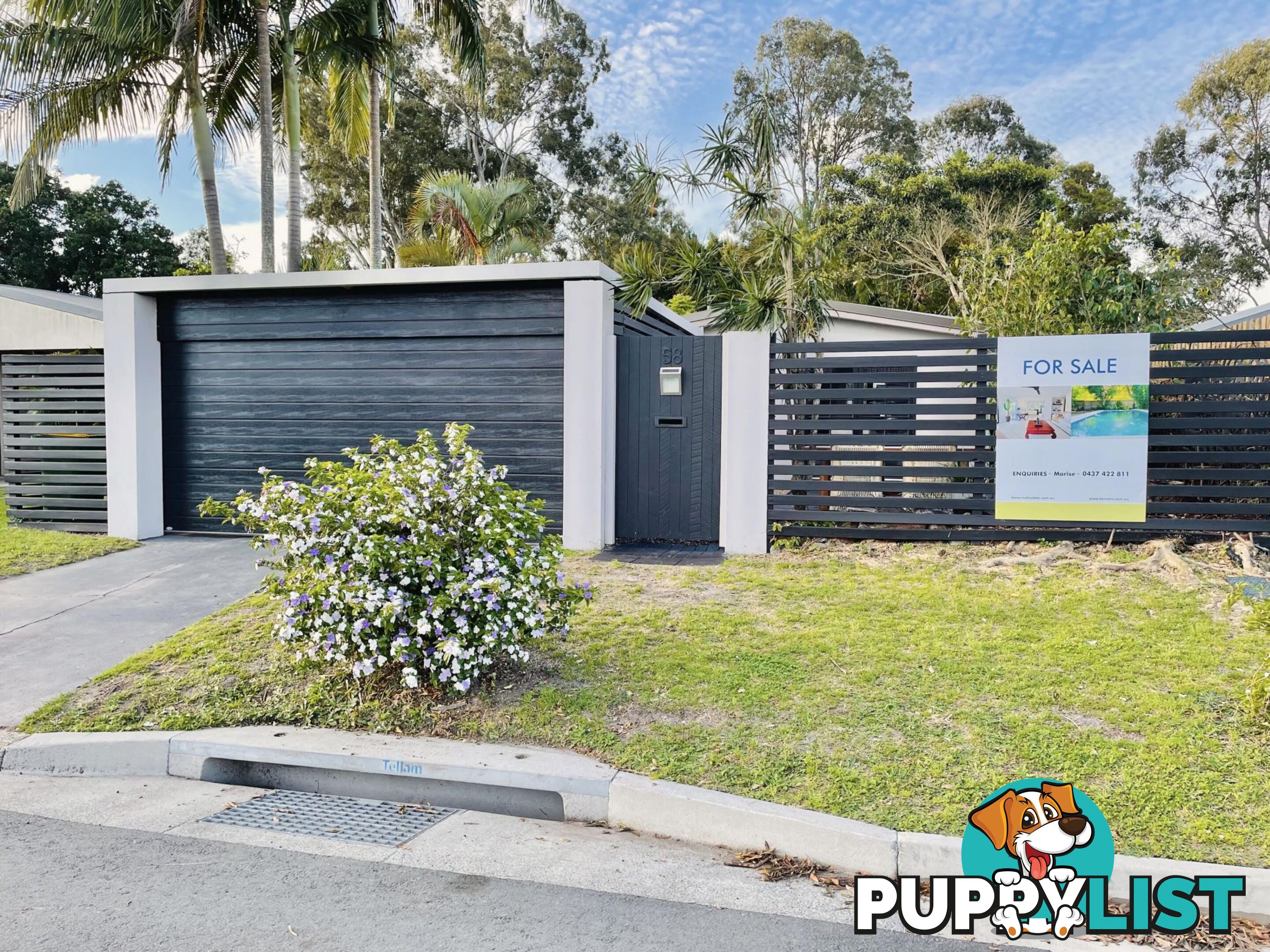 58 Turana St Coombabah QLD 4216