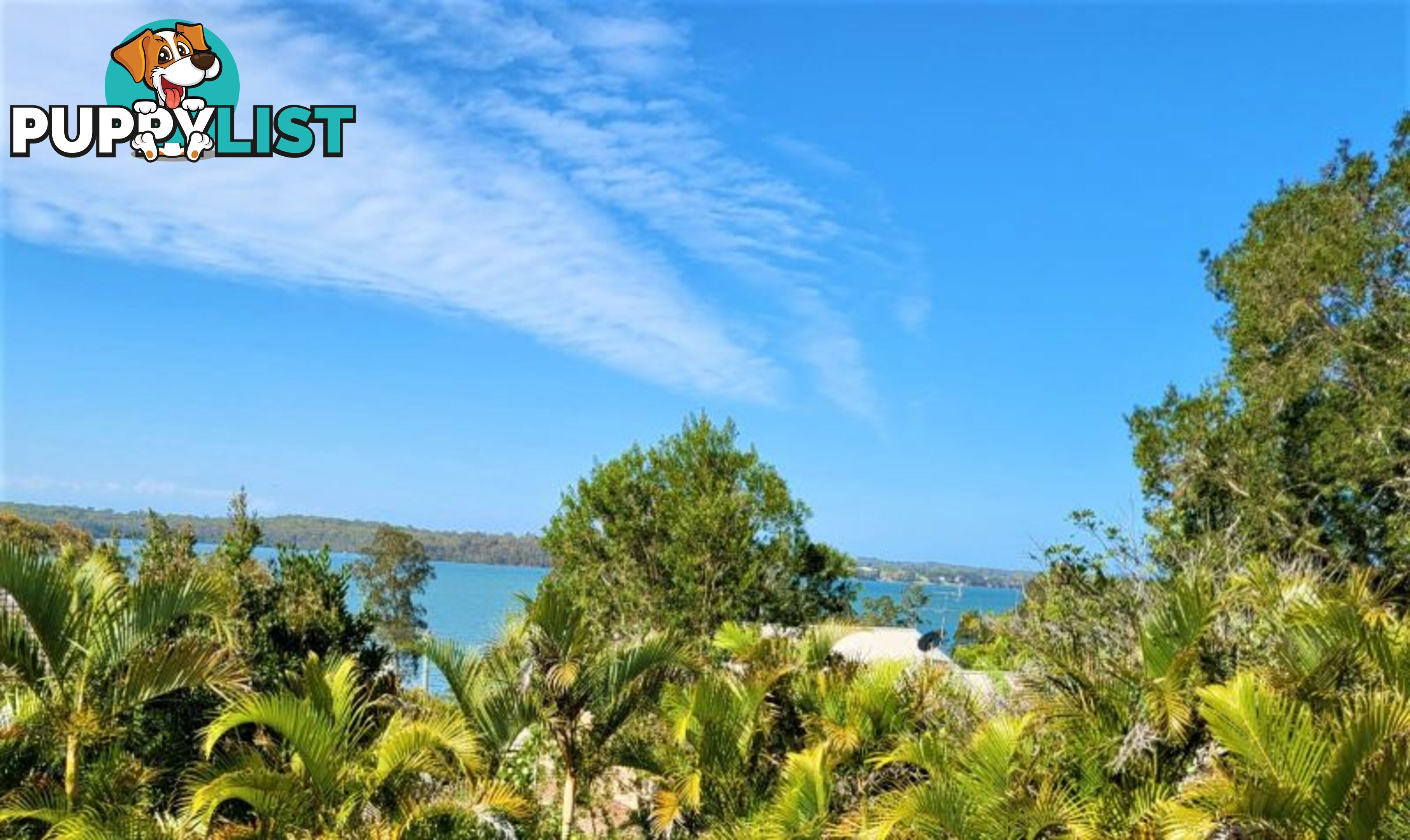 33 Bay Street Wyee Point NSW 2259