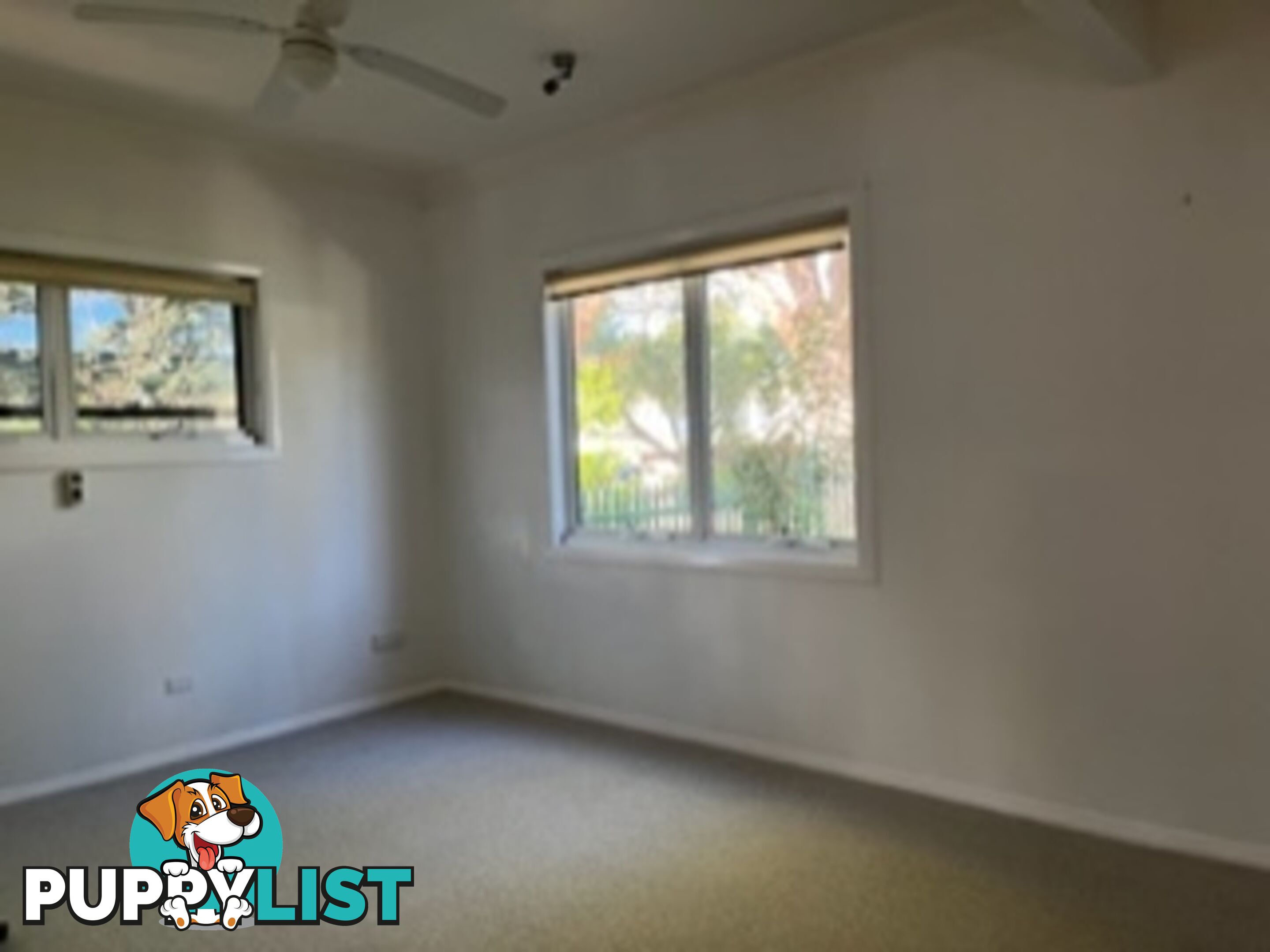 19 Louise St JANNALI NSW 2226