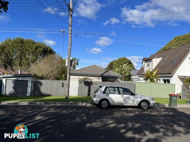 19 Louise St JANNALI NSW 2226