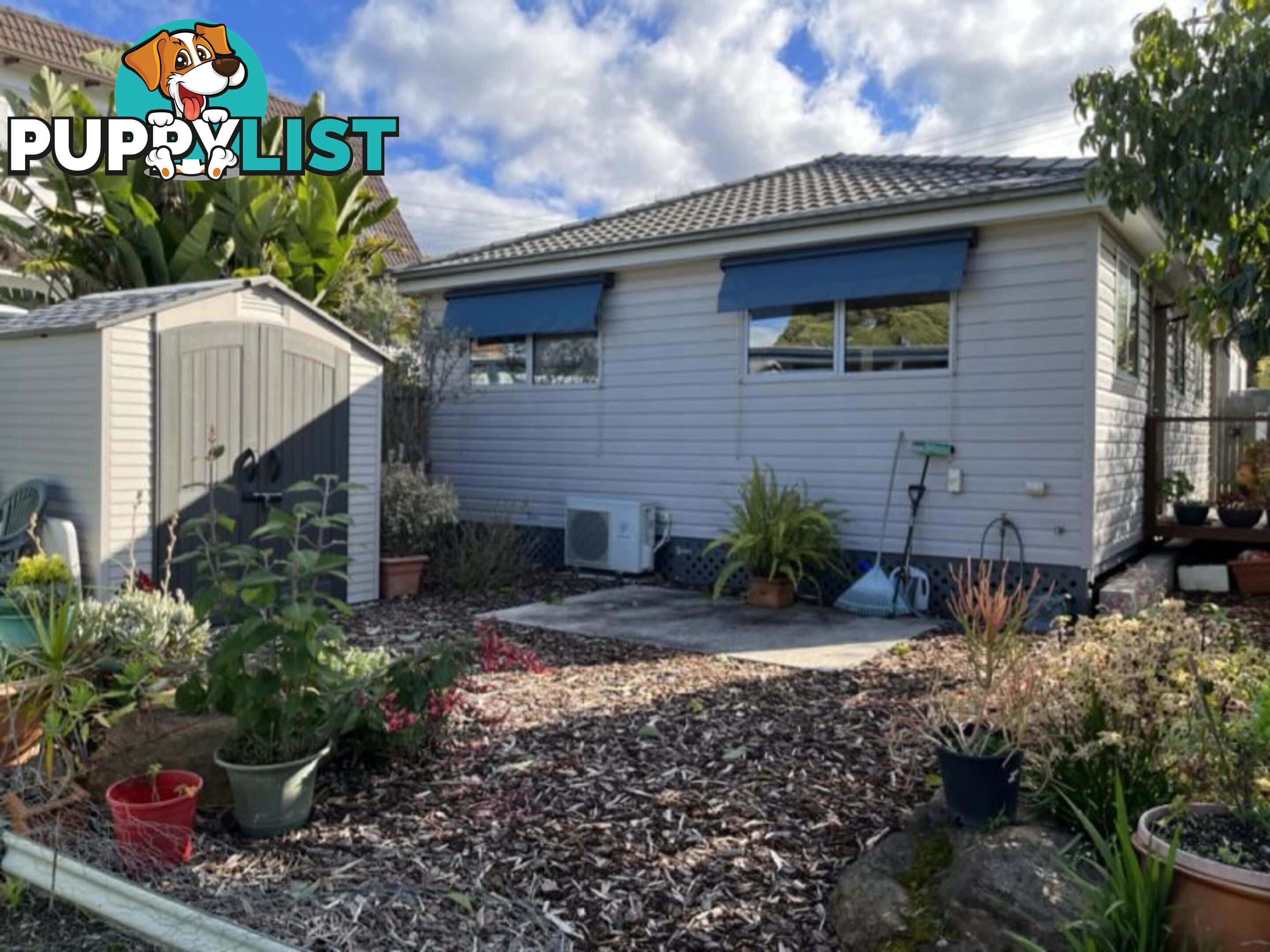 19 Louise St JANNALI NSW 2226