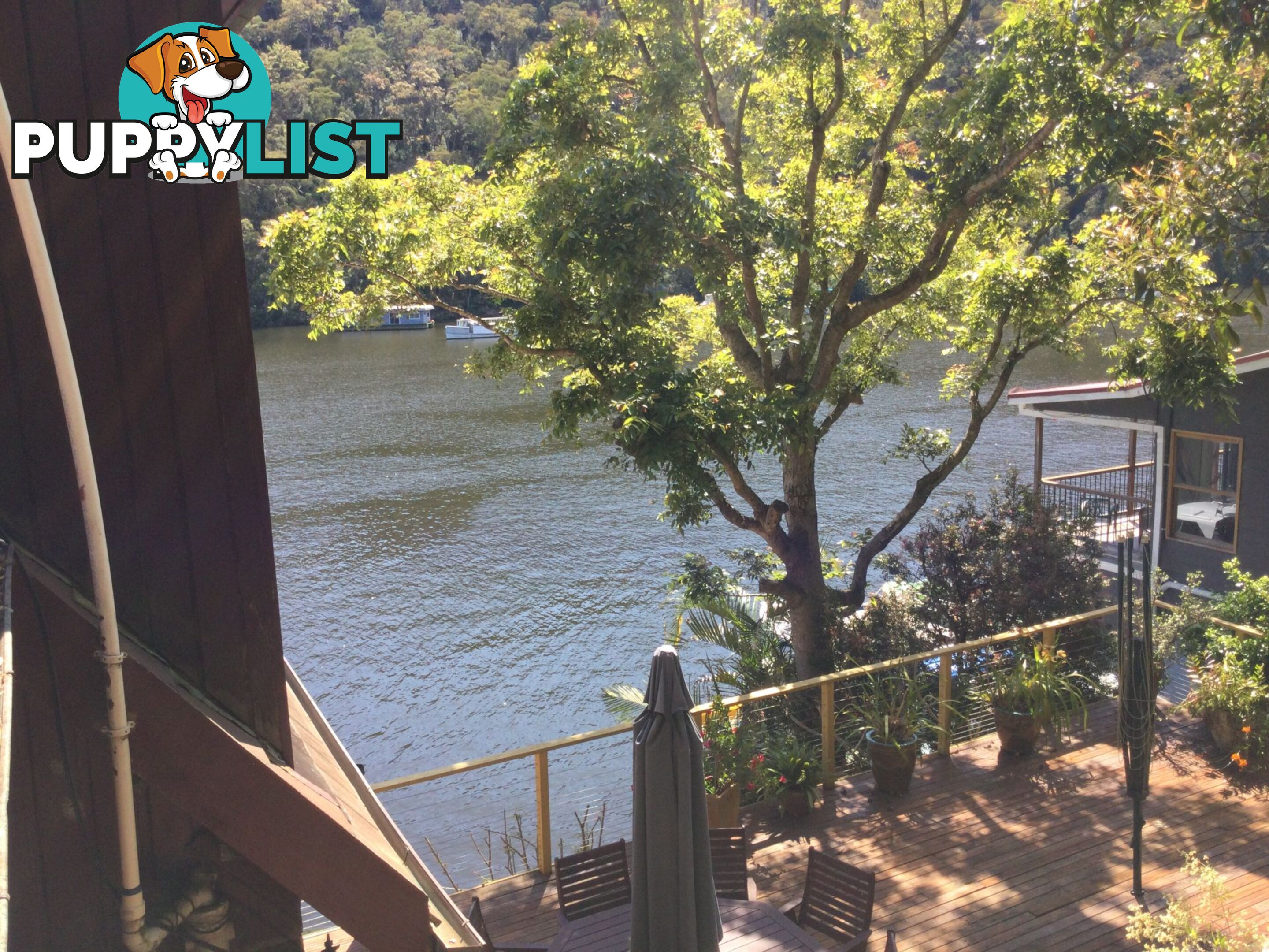 6 Calabash Point BEROWRA WATERS NSW 2082