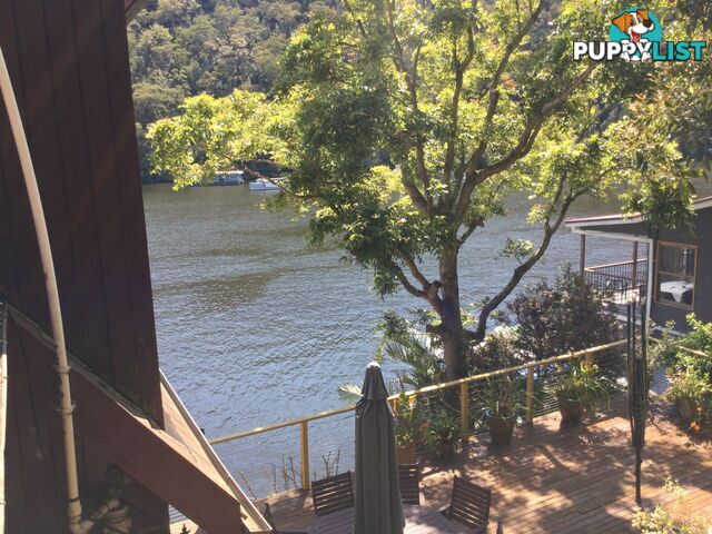 6 Calabash Point BEROWRA WATERS NSW 2082