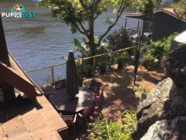 6 Calabash Point BEROWRA WATERS NSW 2082