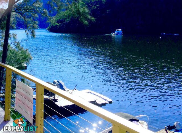 6 Calabash Point BEROWRA WATERS NSW 2082