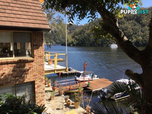 6 Calabash Point BEROWRA WATERS NSW 2082